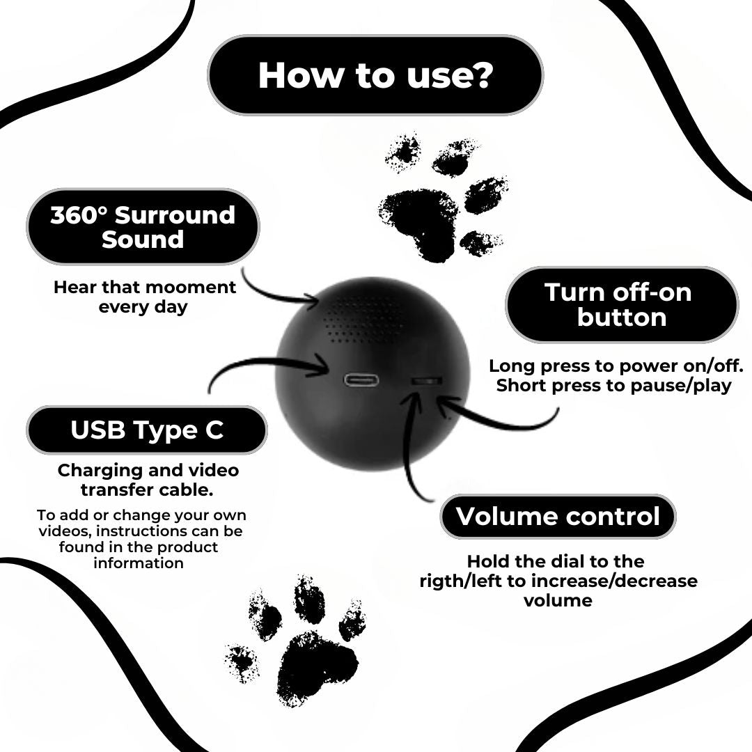 Custom Video Sphere